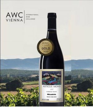 Chamlija Asticus Mons Cabernet Sauvignon 2018, Türkiye - Image 2