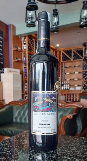 Chamlija Asticus Mons Merlot 2018, Türkiye - Image 3